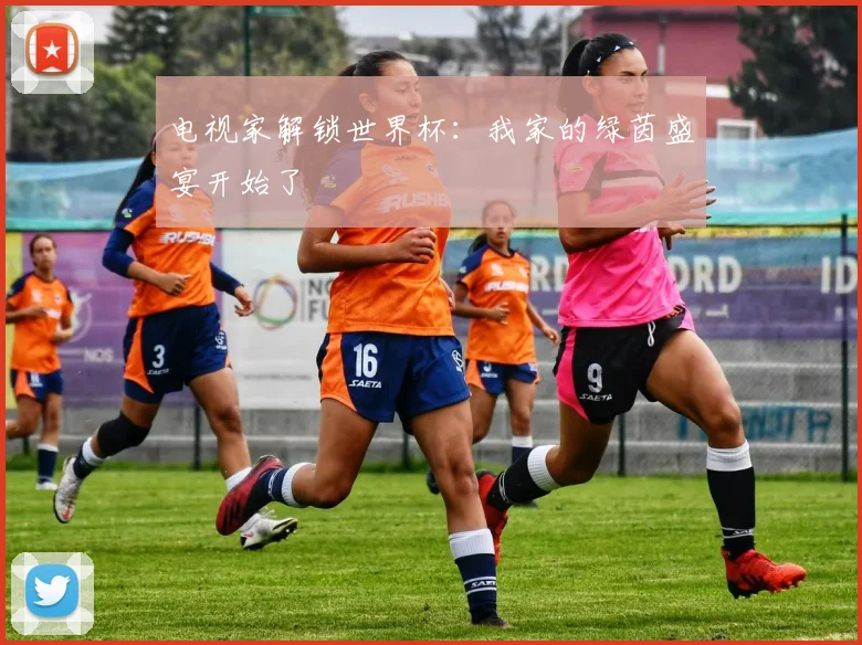 电视家解锁世界杯：我家的绿茵盛宴开始了